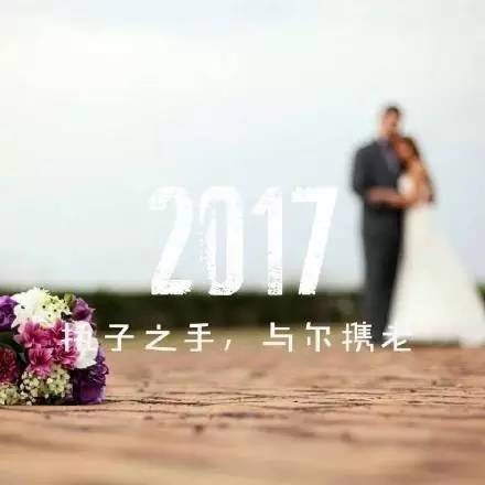 2017Ըһжõİ