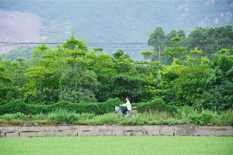 当我老了，约上好友，同吃同住，同居养老