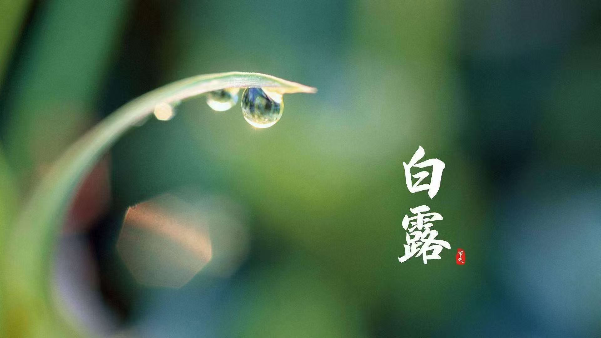 ¶