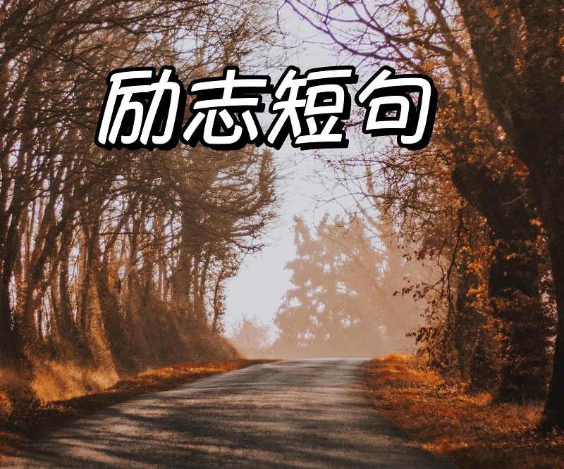 20条励志短句:你要悄悄拔尖,然后惊艳所有人