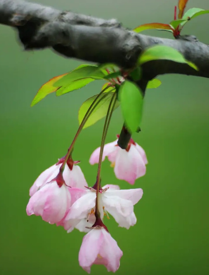 ���Ļ����ʴ���