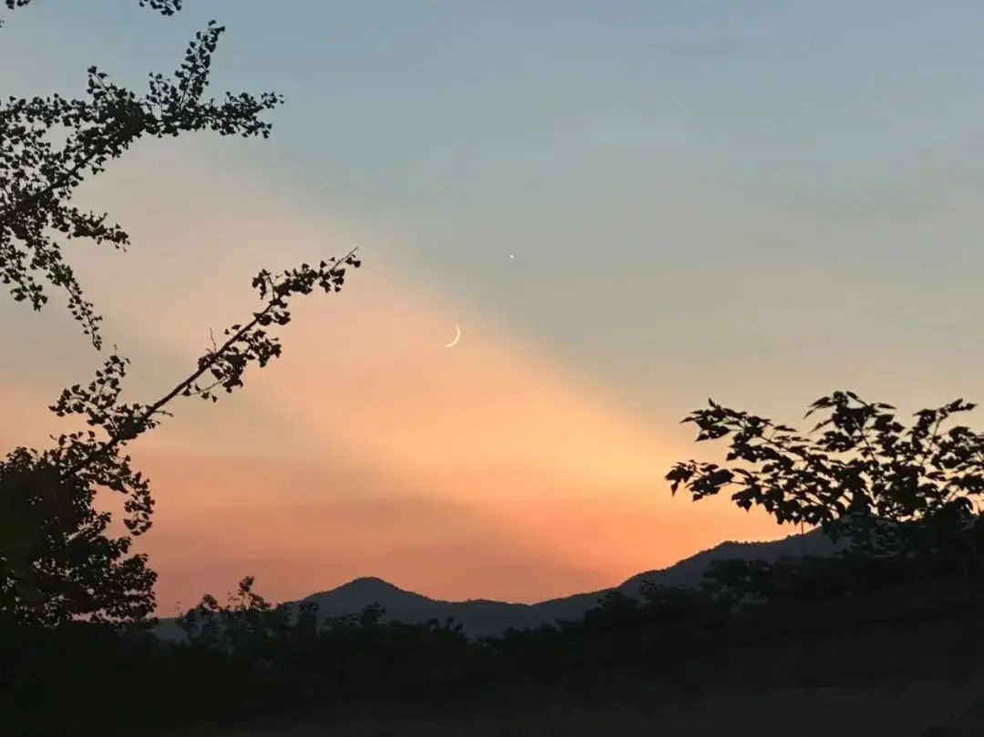 ���´Ӵ˷�����