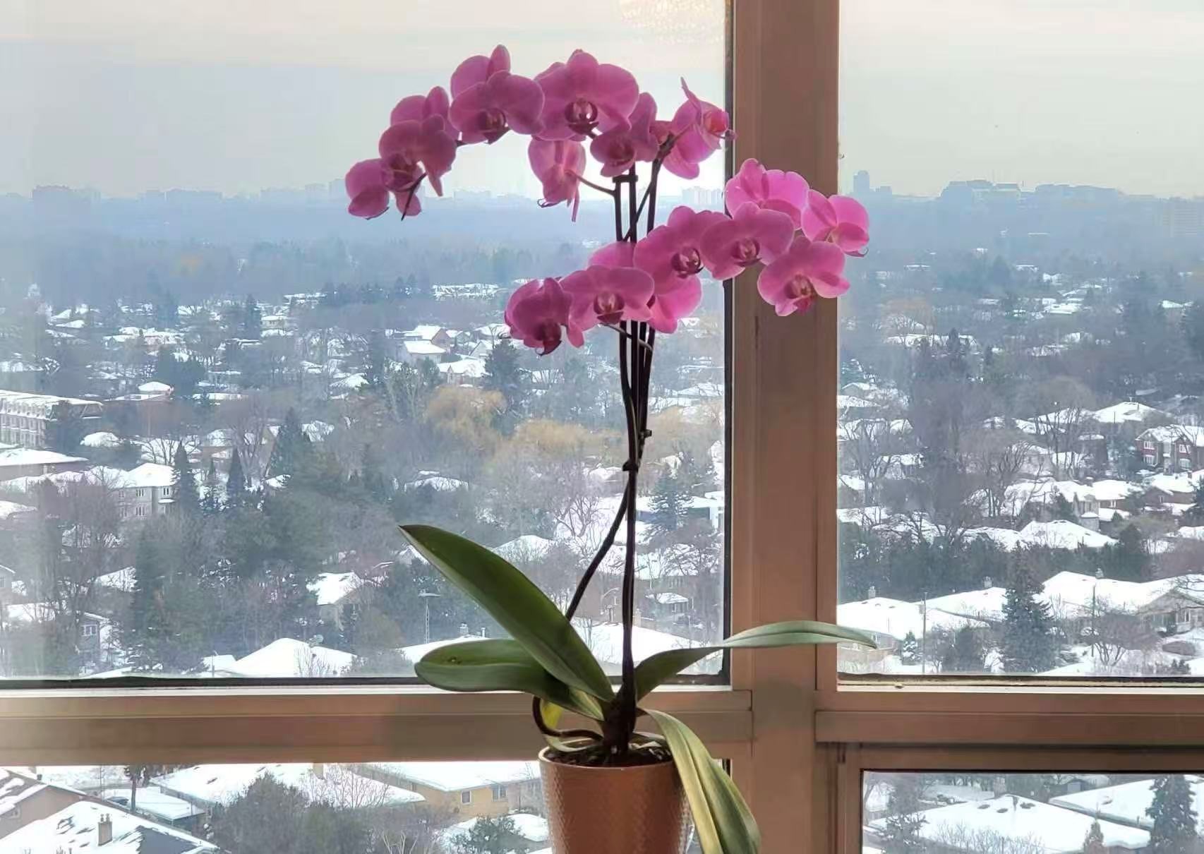 �������ѧ������