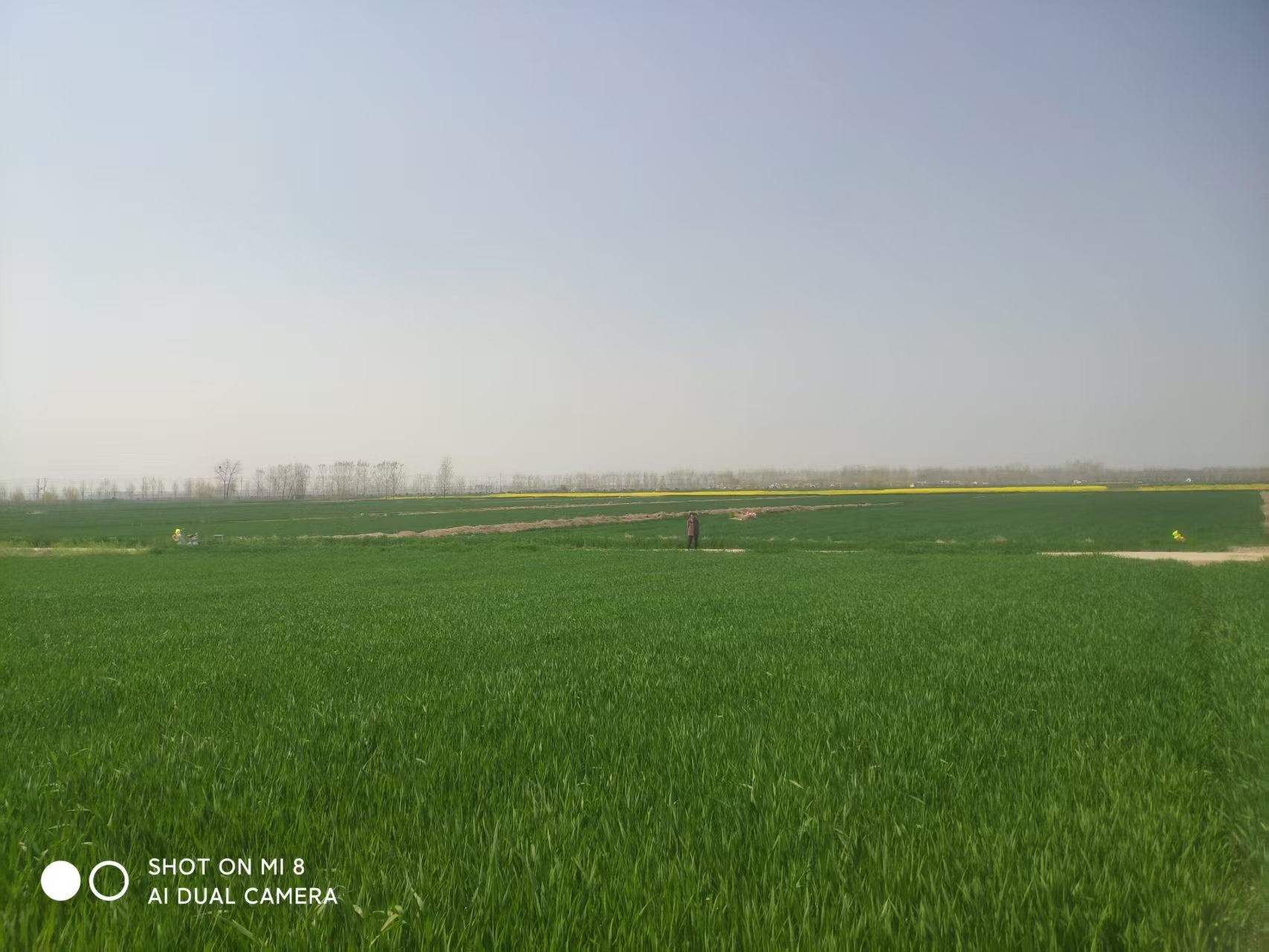 ����������˵��������