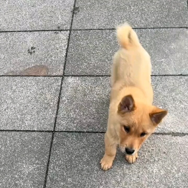 С������ô��������