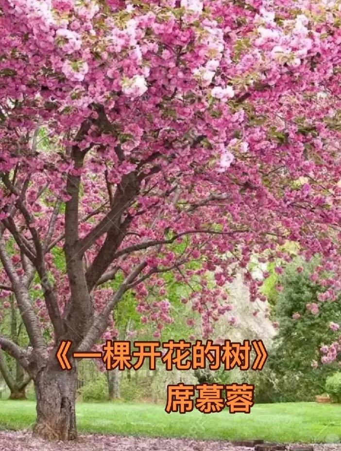 һ�ÿ�������