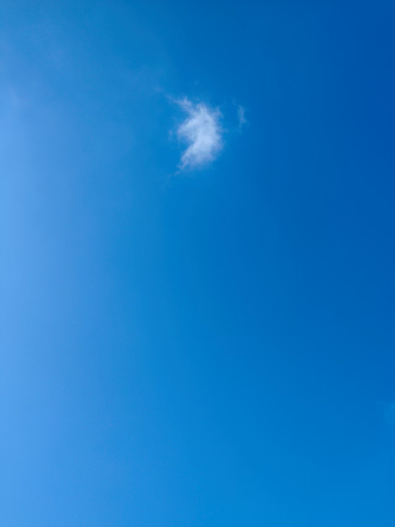 ʱ��