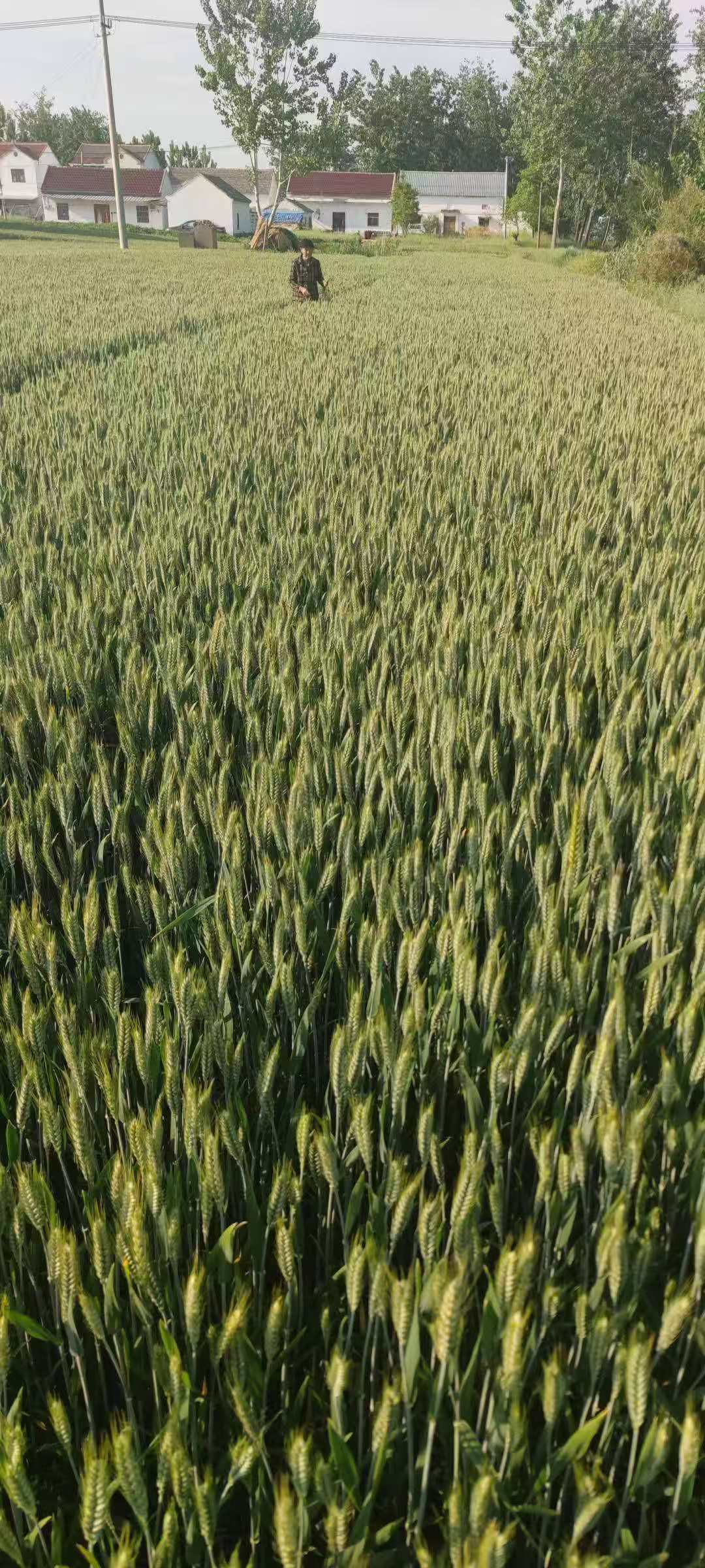 С��