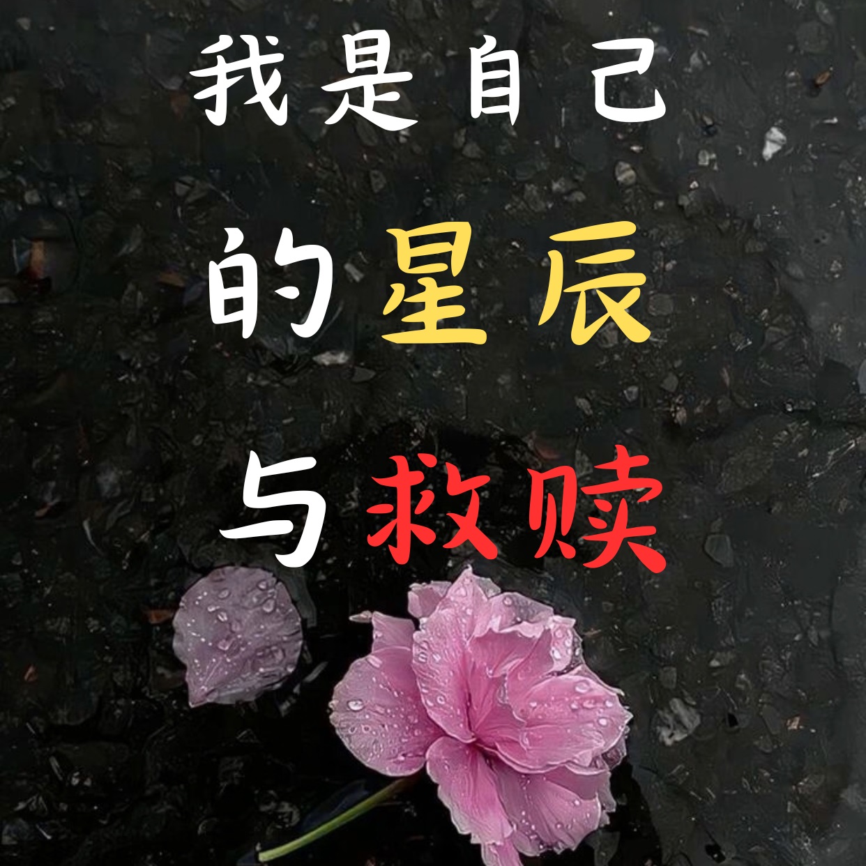 �����Լ����ǳ������