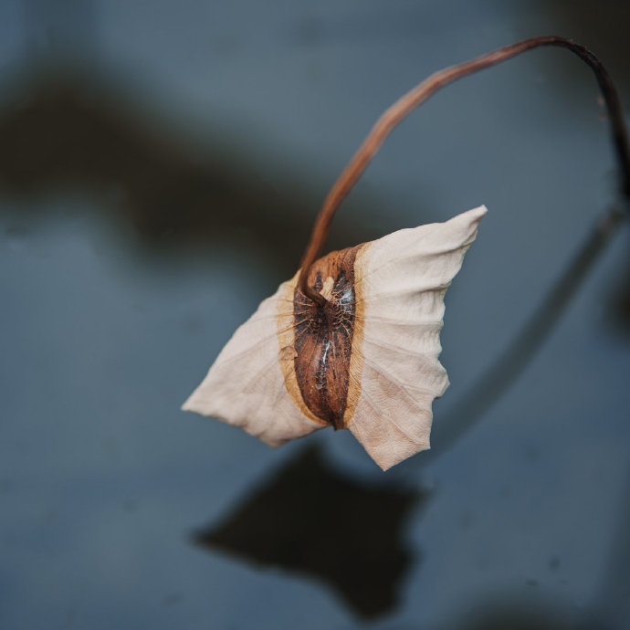 ��һ������������